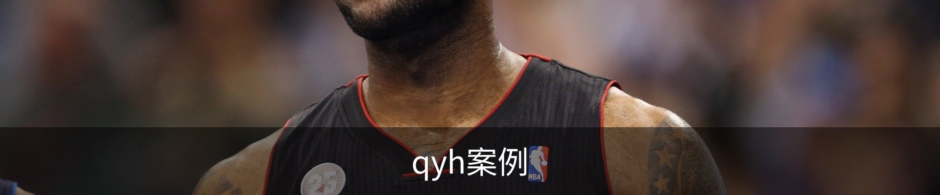 qyh案例